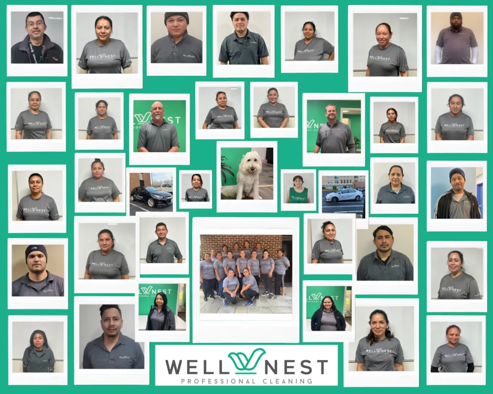 Wellnest Professional Cleaning